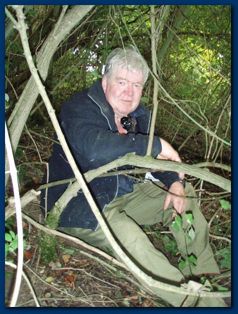 450x599 pixels (177K)